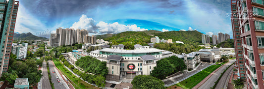 嶺南大學