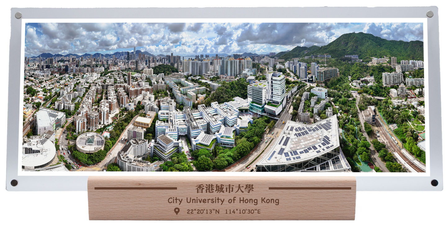 香港城市大學