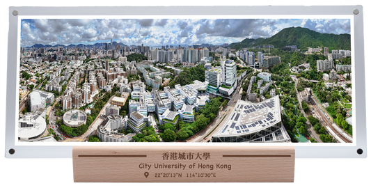 香港城市大學