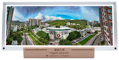 嶺南大學