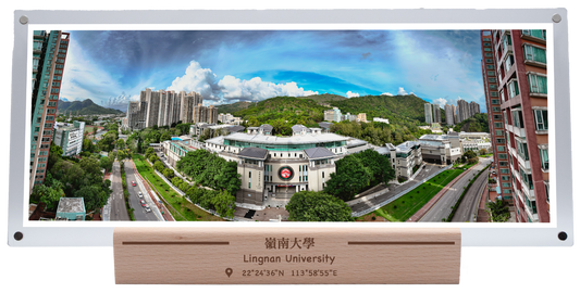 嶺南大學